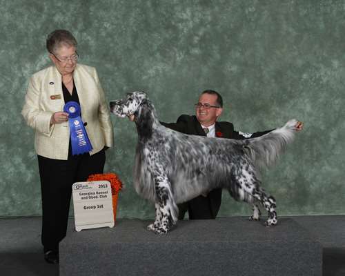 Click for large image