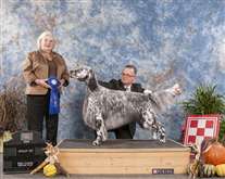 Click for large image