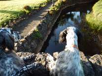 Click for large image