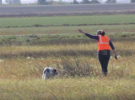 Click for large image