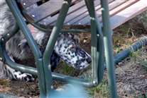 Click for large image