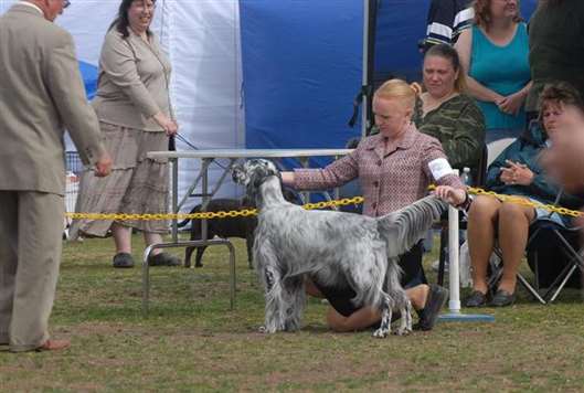 Click for large image