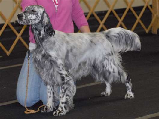 Click for large image