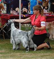 Click for large image