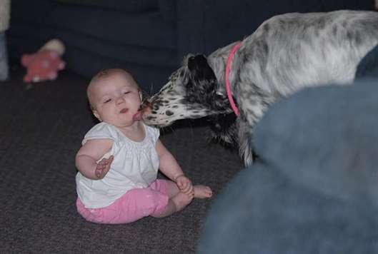 Click for large image