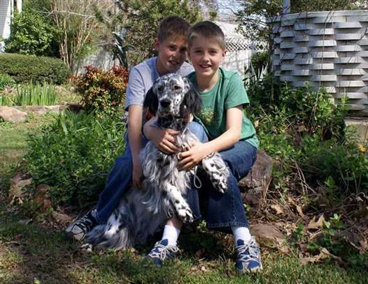 Click for large image