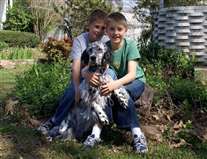 Click for large image