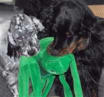 Click for large image