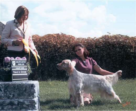 Click for large image