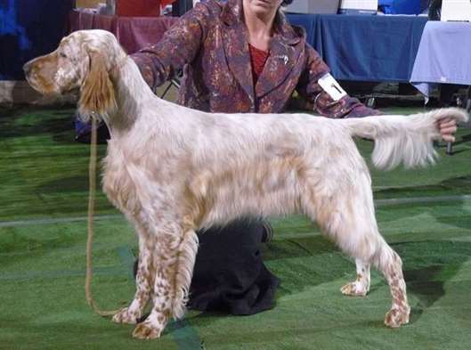 Click for large image