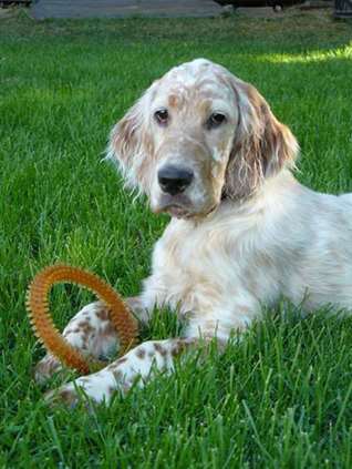 Click for large image