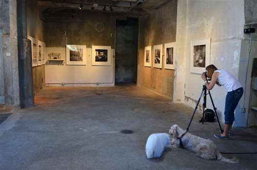 Click for large image