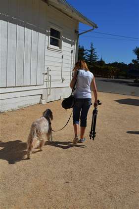 Click for large image