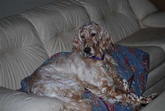 Click for large image