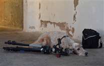 Click for large image