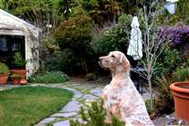 Click for large image