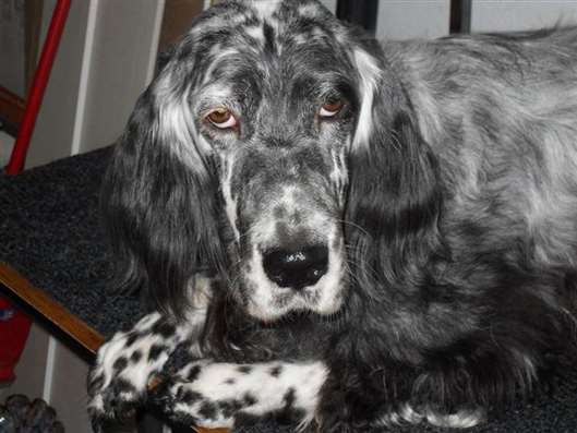 Click for large image