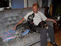 Click for large image