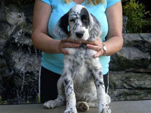 Click for large image