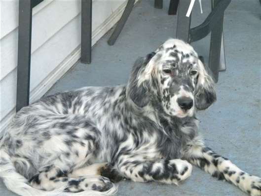 Click for large image