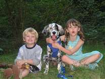 Click for large image