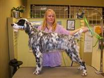 Click for large image