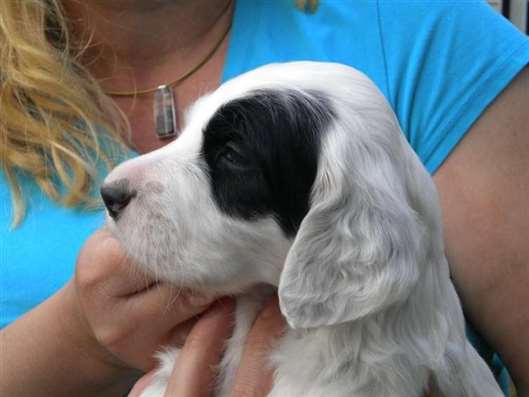 Click for large image