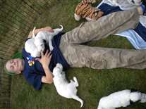 Click for large image