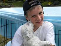 Click for large image