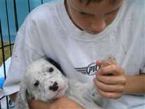 Click for large image