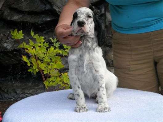 Click for large image