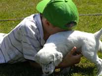 Click for large image