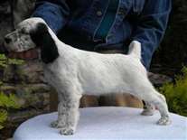 Click for large image