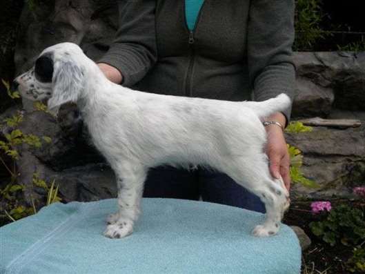 Click for large image