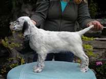 Click for large image