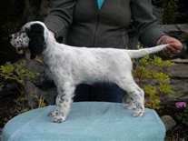 Click for large image