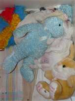 Click for large image