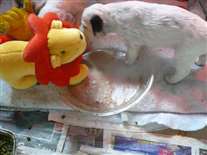 Click for large image