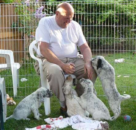 Click for large image