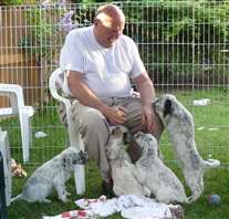 Click for large image