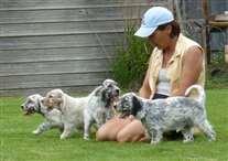 Click for large image