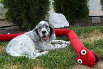 Click for large image