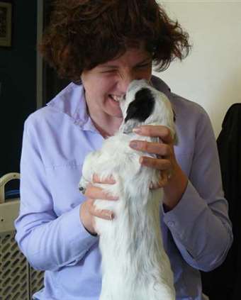 Click for large image