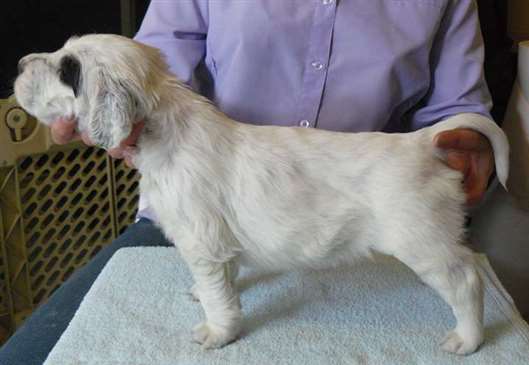 Click for large image