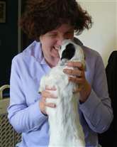 Click for large image