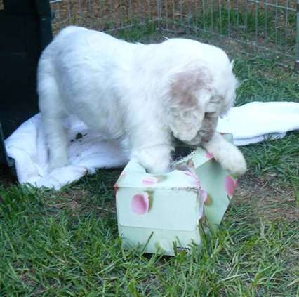 Click for large image