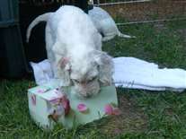 Click for large image