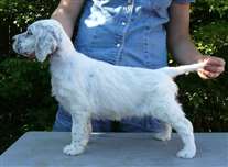 Click for large image