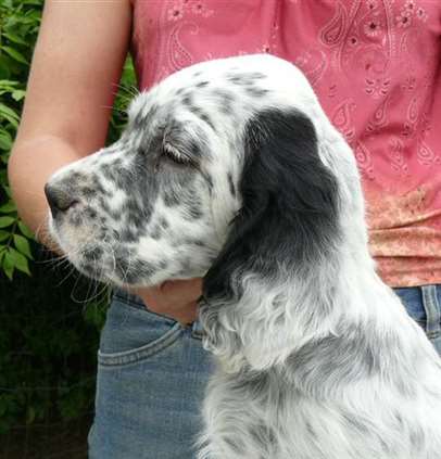 Click for large image