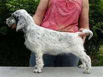 Click for large image